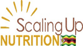 News Release – Launch of the Zimbabwe SUN Media Network